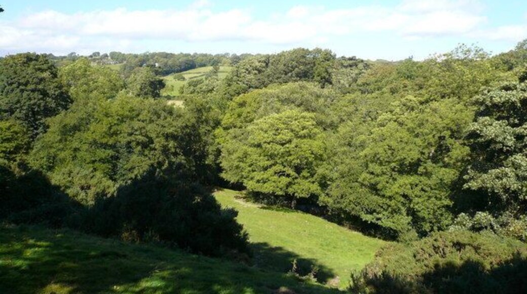 Millthorpe - Footpath View Millthorpe Brook runs through the trees at the bottom of the hillside.