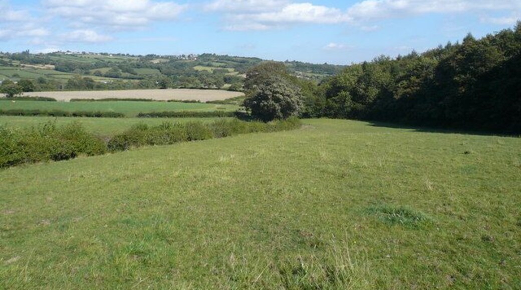 Just about to enter Stripes Wood View from footpath.
