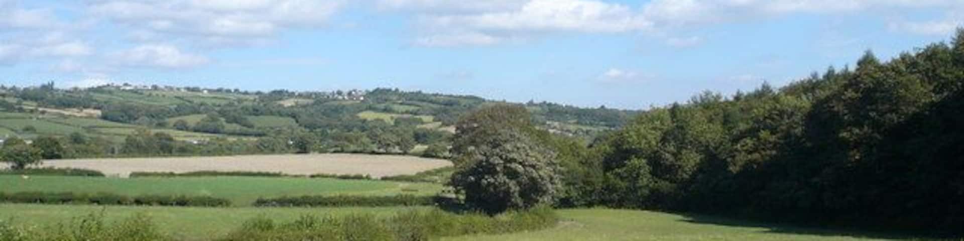 Just about to enter Stripes Wood View from footpath.