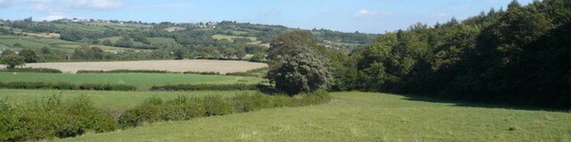 Just about to enter Stripes Wood View from footpath.