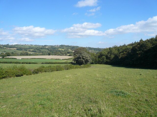 A grassy field with a tree in the foreground and rolling hills in the background.