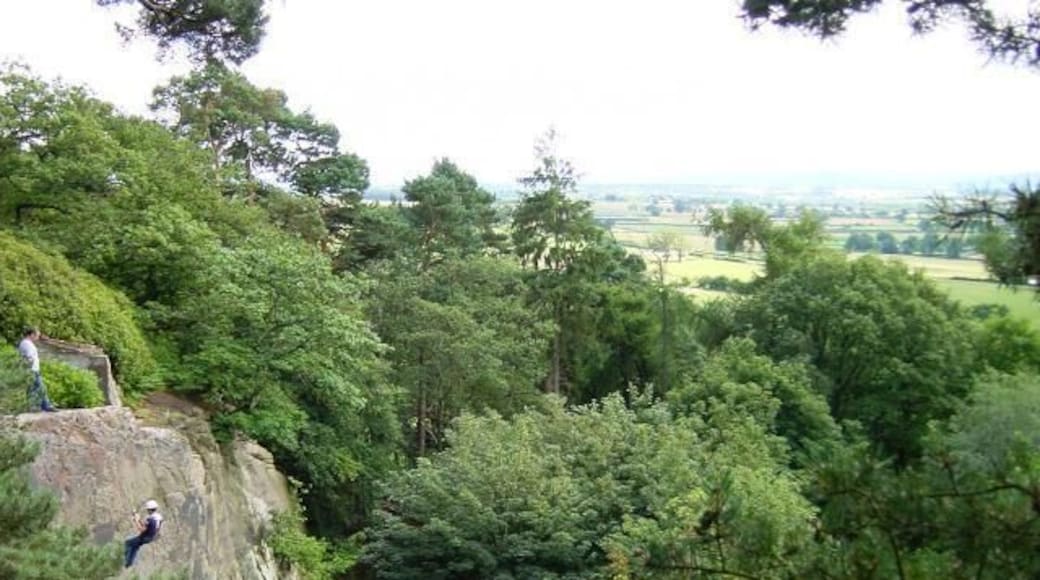 Nesscliffe Hill Country Park. The abseiling cliff looking south. Nesscliffe Rock is a large sandstone outcrop in an otherwise fairly flat landscape. There is an ancient hill fort on the rock and a man-made cave within the cliff.