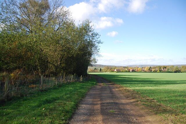 Footpath by the edge of Hurst Wood