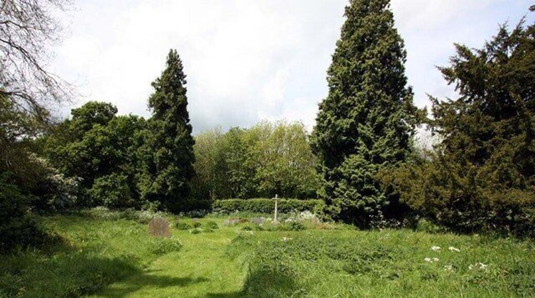 St Mary, Stalisfield, Kent - Churchyard