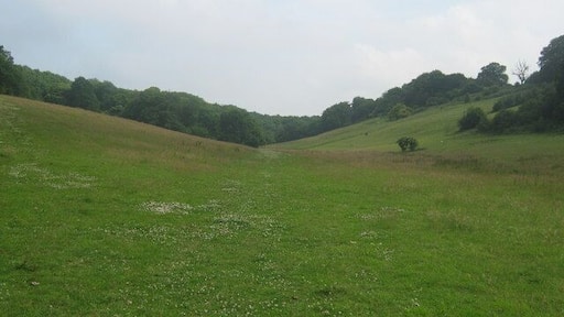 A 'clover' bridleway This bridleway leads from Thorneycroft Road, along the bottom of the valley, marked by the profusion of wild clover in the grass to Spuckles Wood (in the background) and then onto Hillside Road.