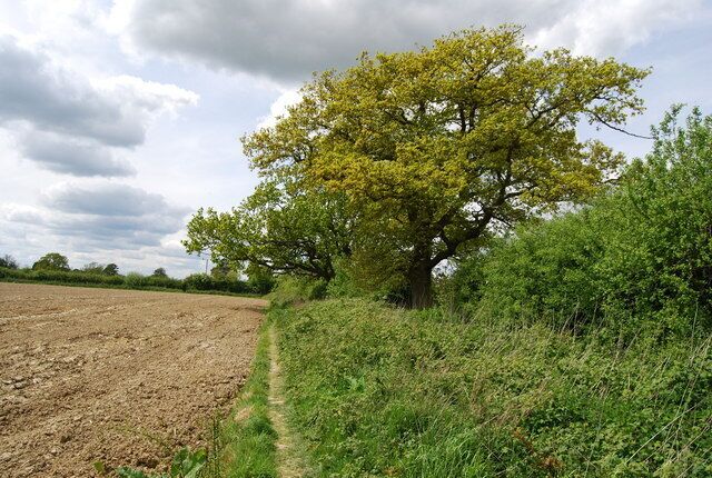 Footpath along the edge of a field heading to Two Mile Ash Lane