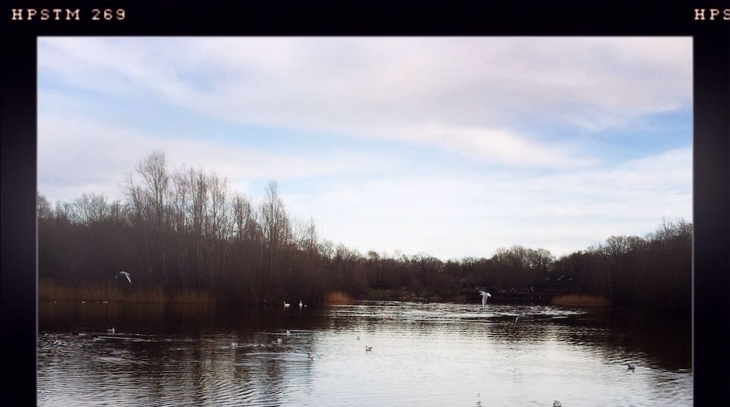 Ex quarry turned lake #nature #leisure