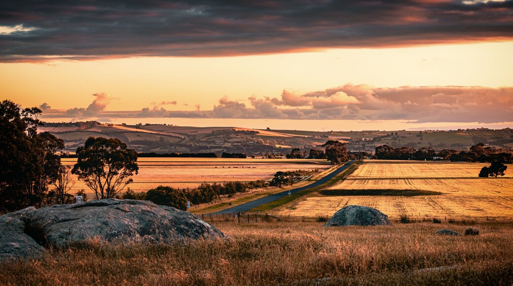 Driveway and field in regional Victoria in Australia at dusk