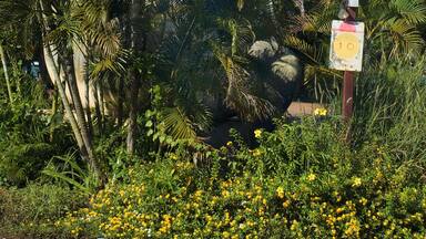 Australia, Northern Territory