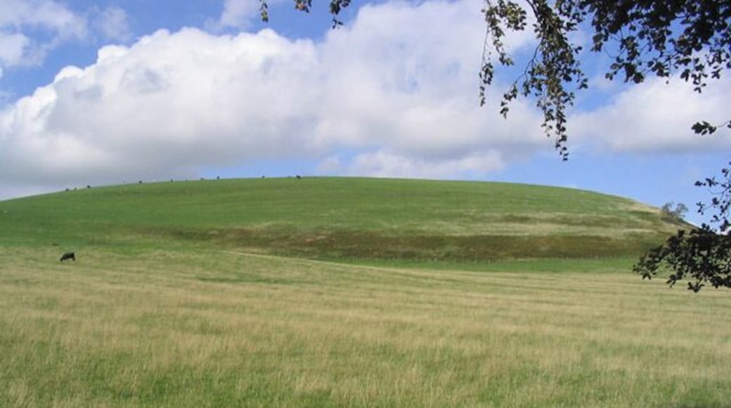 Minto Hill North. The description Minto Hill North is my own as the two hills here are denoted on the OS Explorer Map as Minto Hills