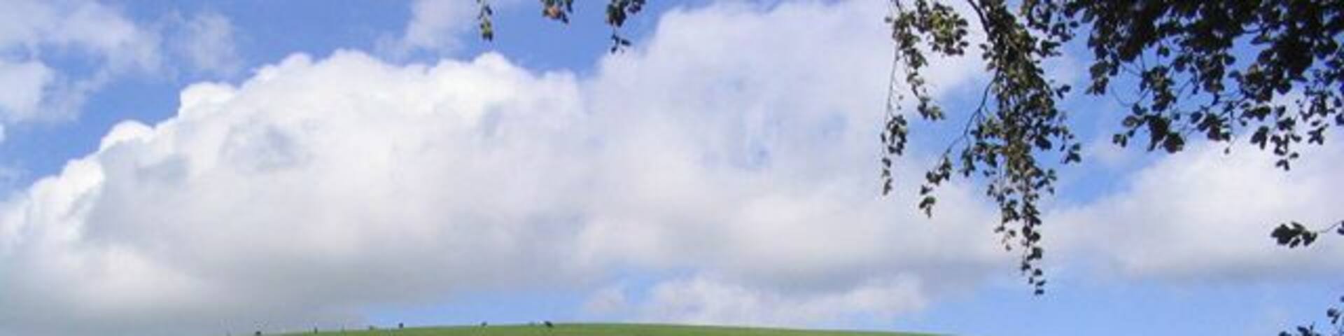 Minto Hill North. The description Minto Hill North is my own as the two hills here are denoted on the OS Explorer Map as Minto Hills