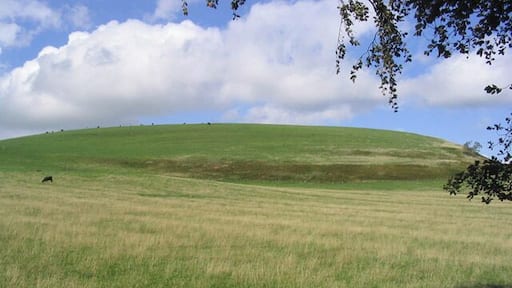 Minto Hill North. The description Minto Hill North is my own as the two hills here are denoted on the OS Explorer Map as Minto Hills