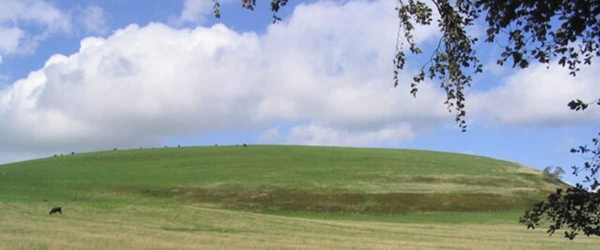 A grassy hill with a clear sky and some clouds.