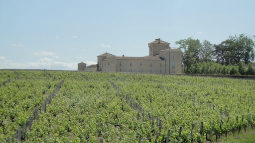 Château Lafaurie-Peyraguey and some of its vineyards as seen from the road leading up to Château Sigalas-Rabaud