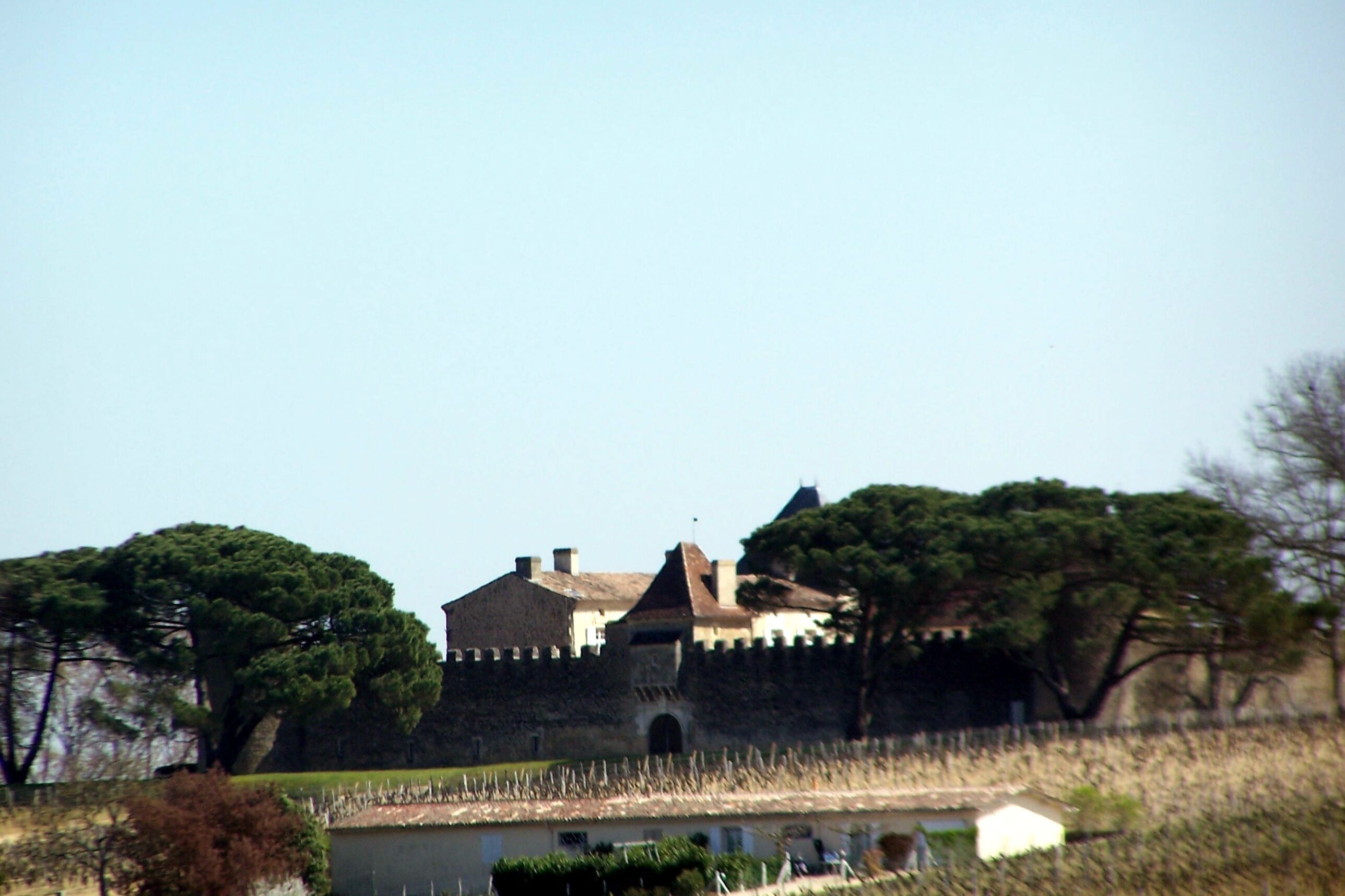 Face West of the Château d'Yquem in Sauternes (Gironde, France)