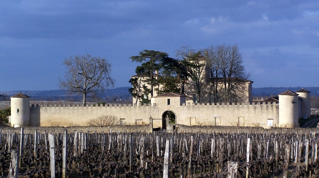 Castle Lafaurie-Peyraguey Sauternes (Gironde, France)