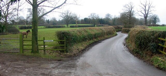 A narrow rural road with a wooden gate labeled 'BLACKHALL' and a horse visible on the left.