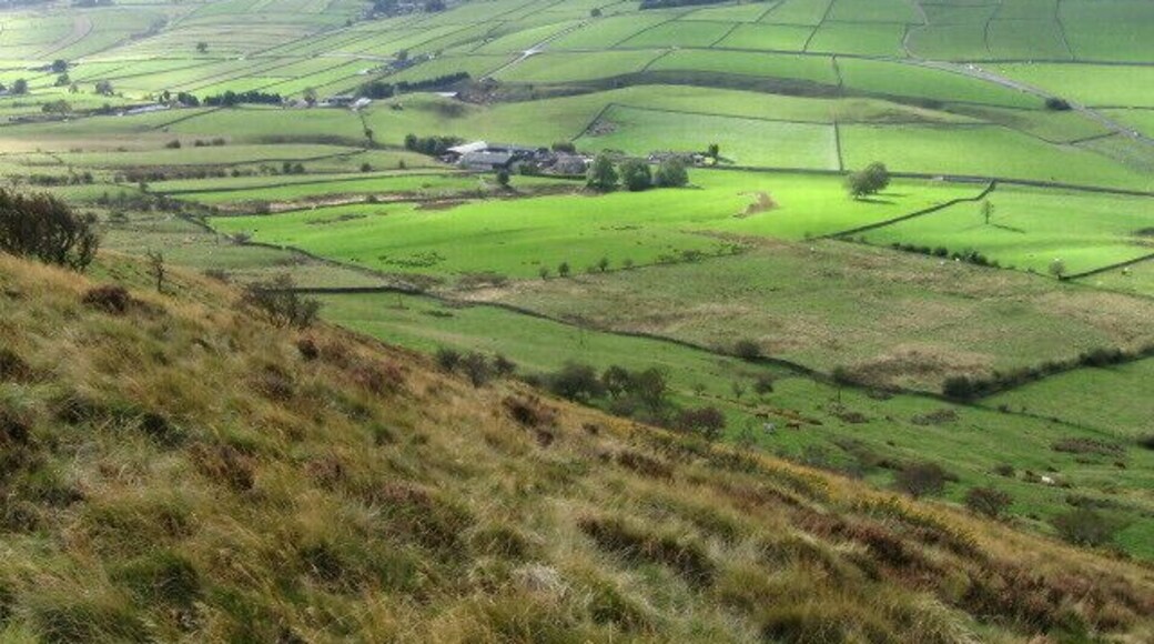 Towards Quarters Farm