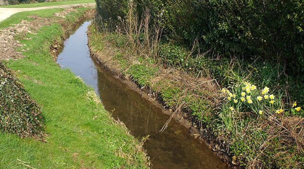 The stream between Kencot and Broadwell The stream that divides the two villages.