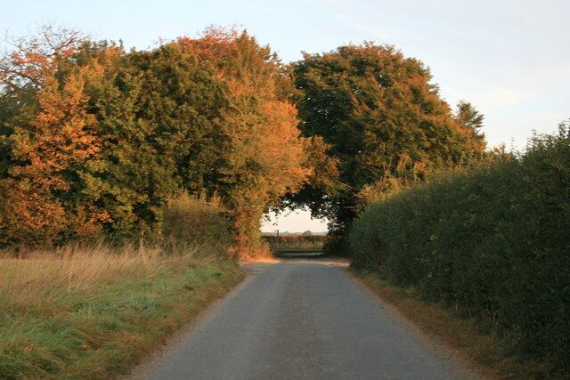 Kings Lane in early morning autumn sunshine The lane meets the B4477 under the trees.