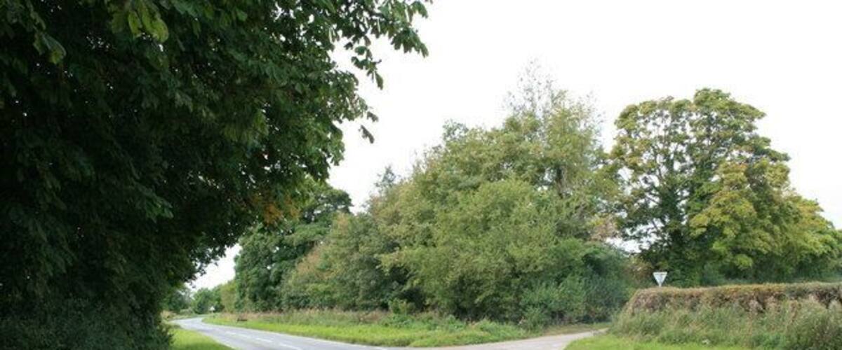 A rural road with a roundabout, surrounded by greenery and trees.