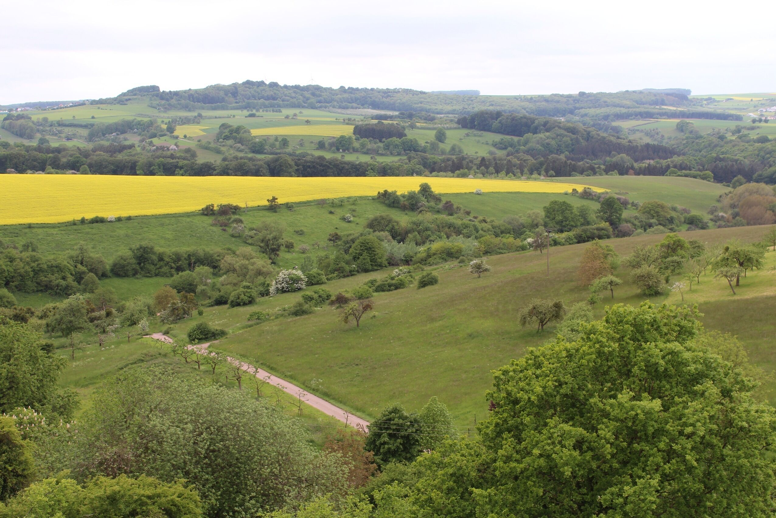 Freudenburg, view to the Mühlental