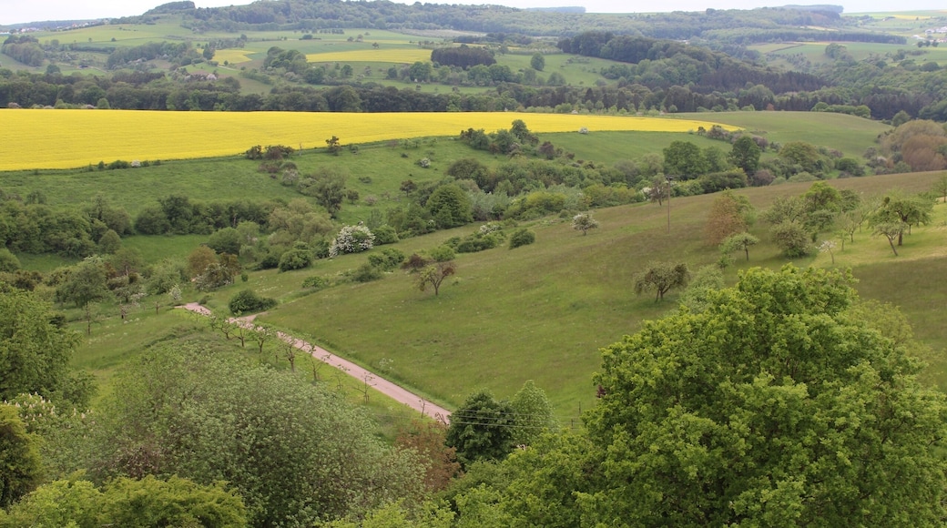 Freudenburg, view to the Mühlental