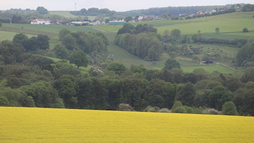 Freudenburg, view to Faha