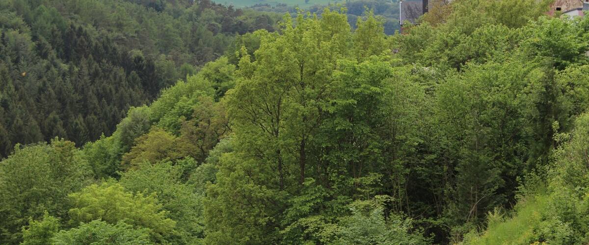 Freudenburg, view to the Holy Trinity church
