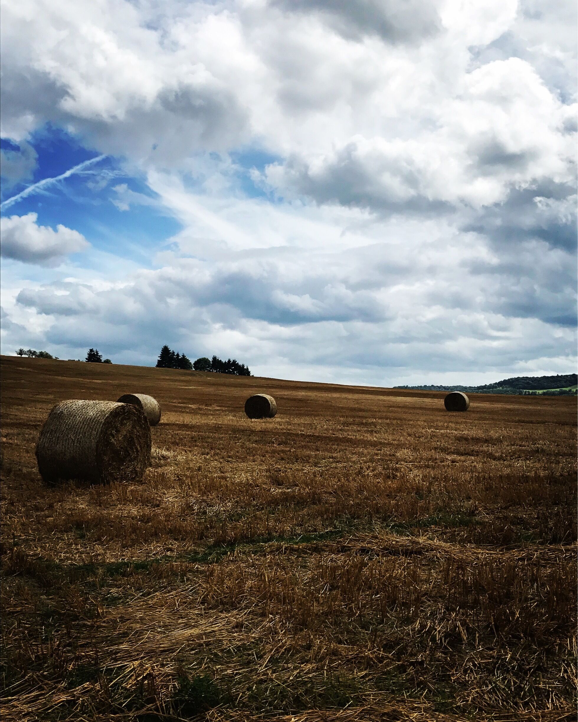 A field with hay bales and a cloudy sky.