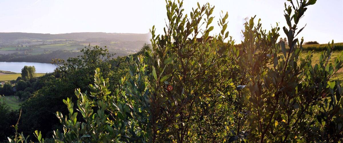 Vue de maison Rosnoen été 2010