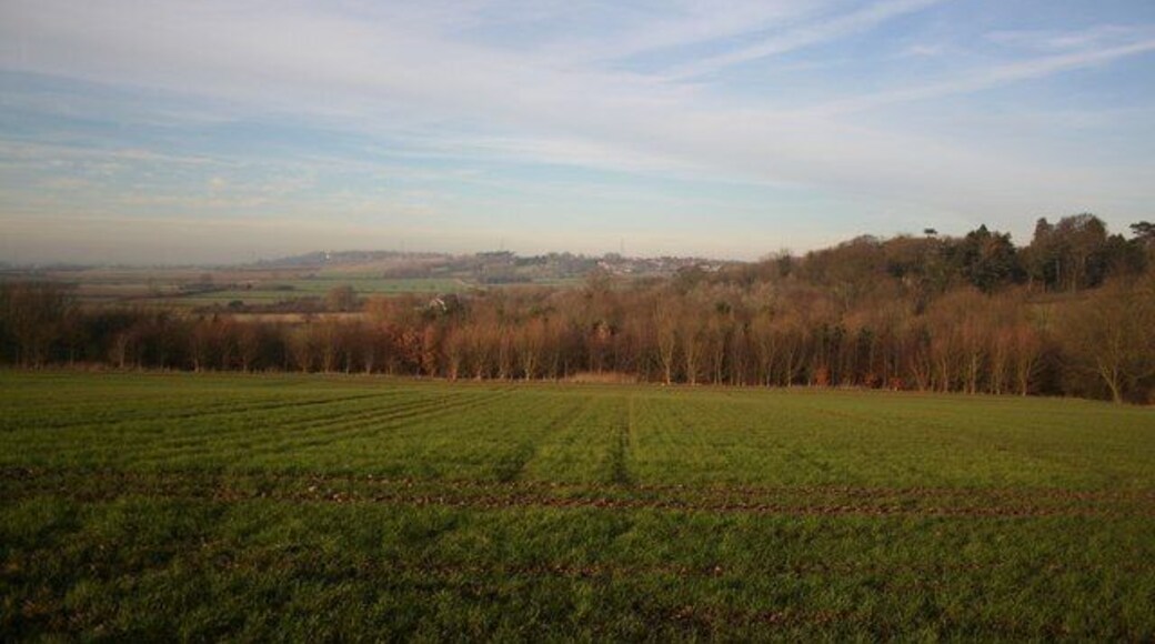 View towards Lincoln View from the Viking way near Navenby