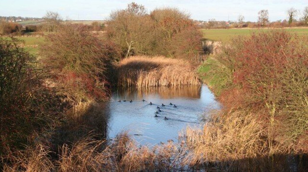 Dismantled railway Pond in the former trackbed of the dismantled railway line, looking north from Skinnand Lane bridge