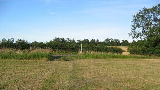 South Cockerington Path Across Field