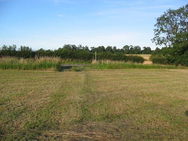 A grassy field with a dirt path leading to a pond surrounded by trees.