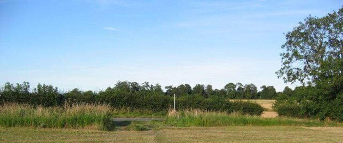 A grassy field with a dirt path leading to a pond surrounded by trees.