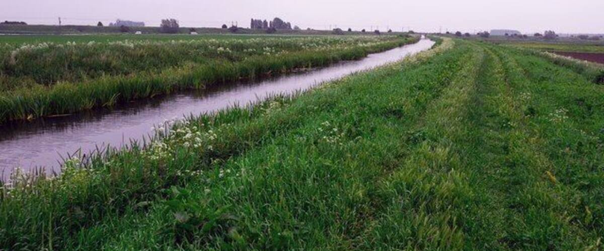 A narrow water channel flanked by lush green fields and a distant line of trees.