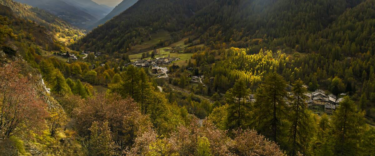 A valley with a small village surrounded by mountains and dense forests.