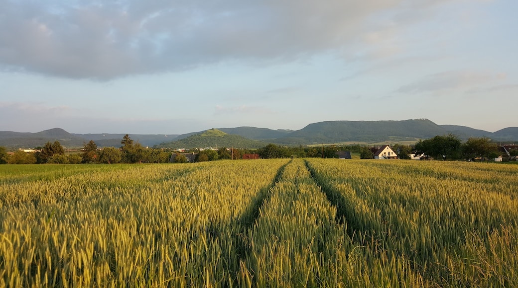 Blick auf die Schwäbische Alb von Holzmaden Mit Rauber, Burg Reußenstein, Limburg, Randecker Maar, Breitenstein und Stattelbogen