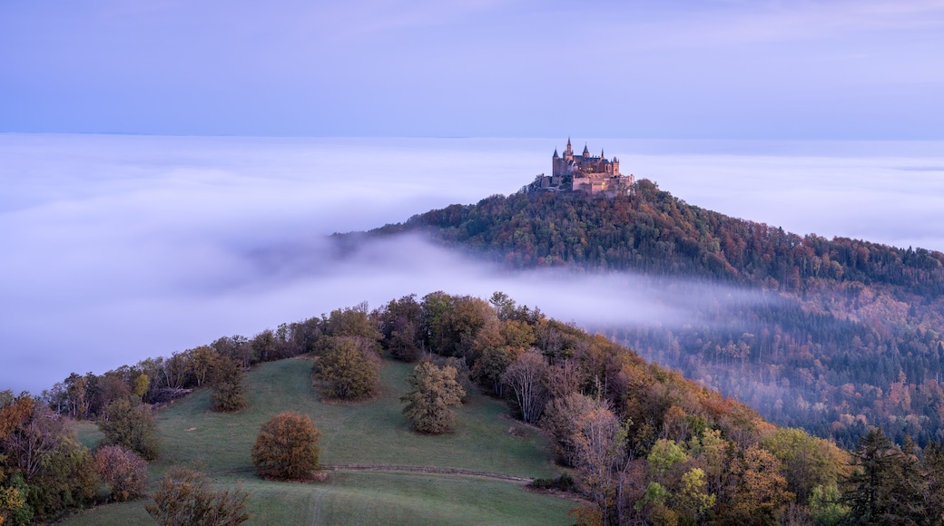 Eine Burg auf einem Hügel, umgeben von Herbstlaub und Nebel.