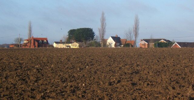 A rural landscape with a plowed field, several houses, and a large tree.