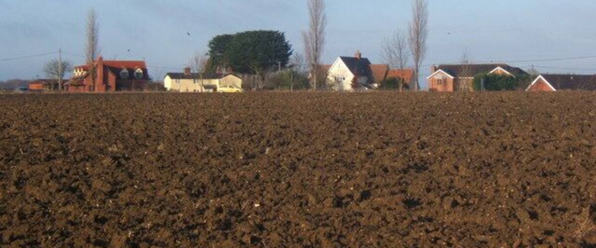 A rural landscape with a plowed field, several houses, and a large tree.