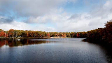 Little Pebawma Lake, Colfax Township, Oceana County, Michigan