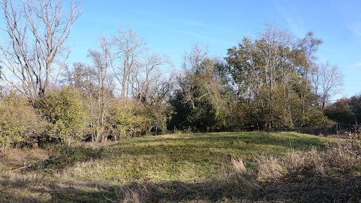 Bowl barrow and bell barrow on Graffham Down Wikidata has entry Q17645389 with data related to this item.