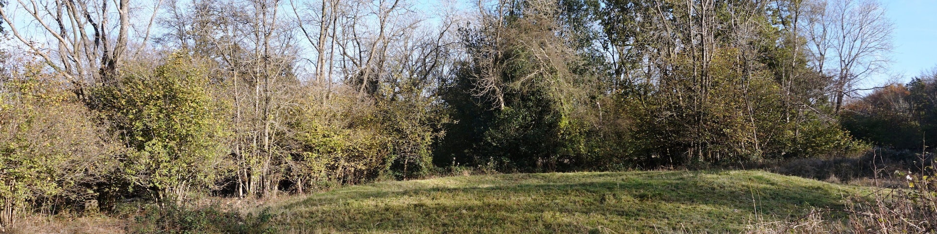 Bowl barrow and bell barrow on Graffham Down Wikidata has entry Q17645389 with data related to this item.