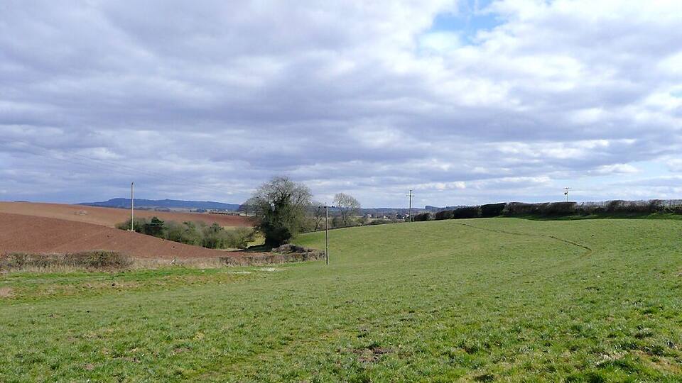 Paisagem rural com um amplo campo aberto, uma colina com uma árvore e colinas distantes sob um céu nublado.