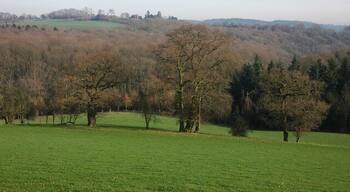 View towards Castle Hill Viewed from the Ridge to the west of Bodenham Farm. The wood in the valley is Spring Coppice. The building just visible on the hill is the derelict Castle Hill Farm.