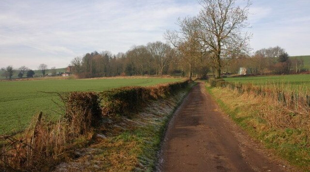 Track to Castle Hill Farm