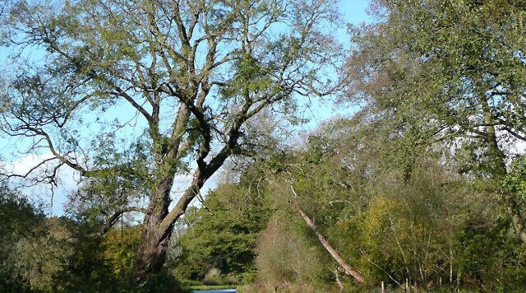 Staffordshire and Worcestershire Canal near Caunsall, Worcestershire The River Stour is close by to the left of the towpath.