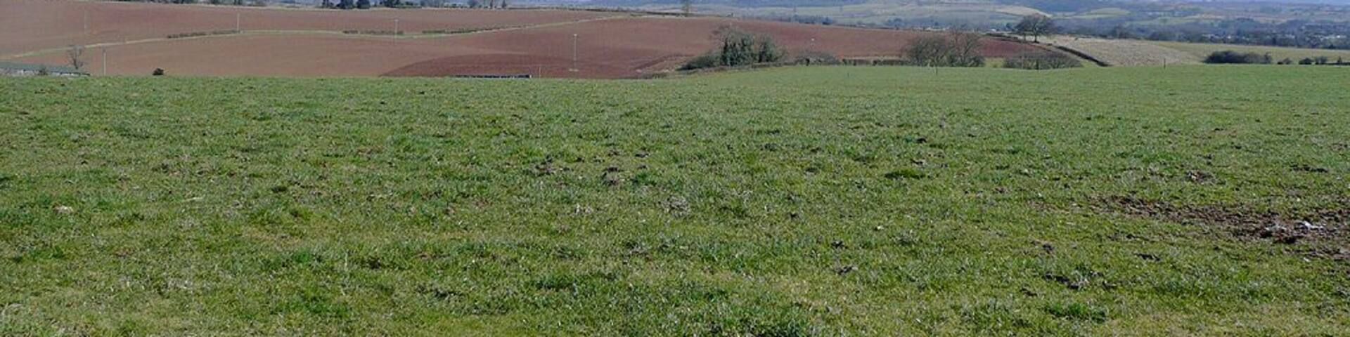 Farmland near Cookley, Worcestershire Seen from one of the grass fields east of Blakeshall Lane.